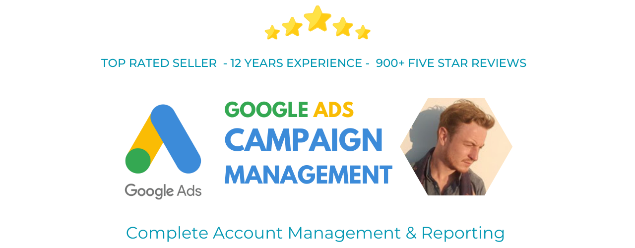 google ads ppc management program consultant service