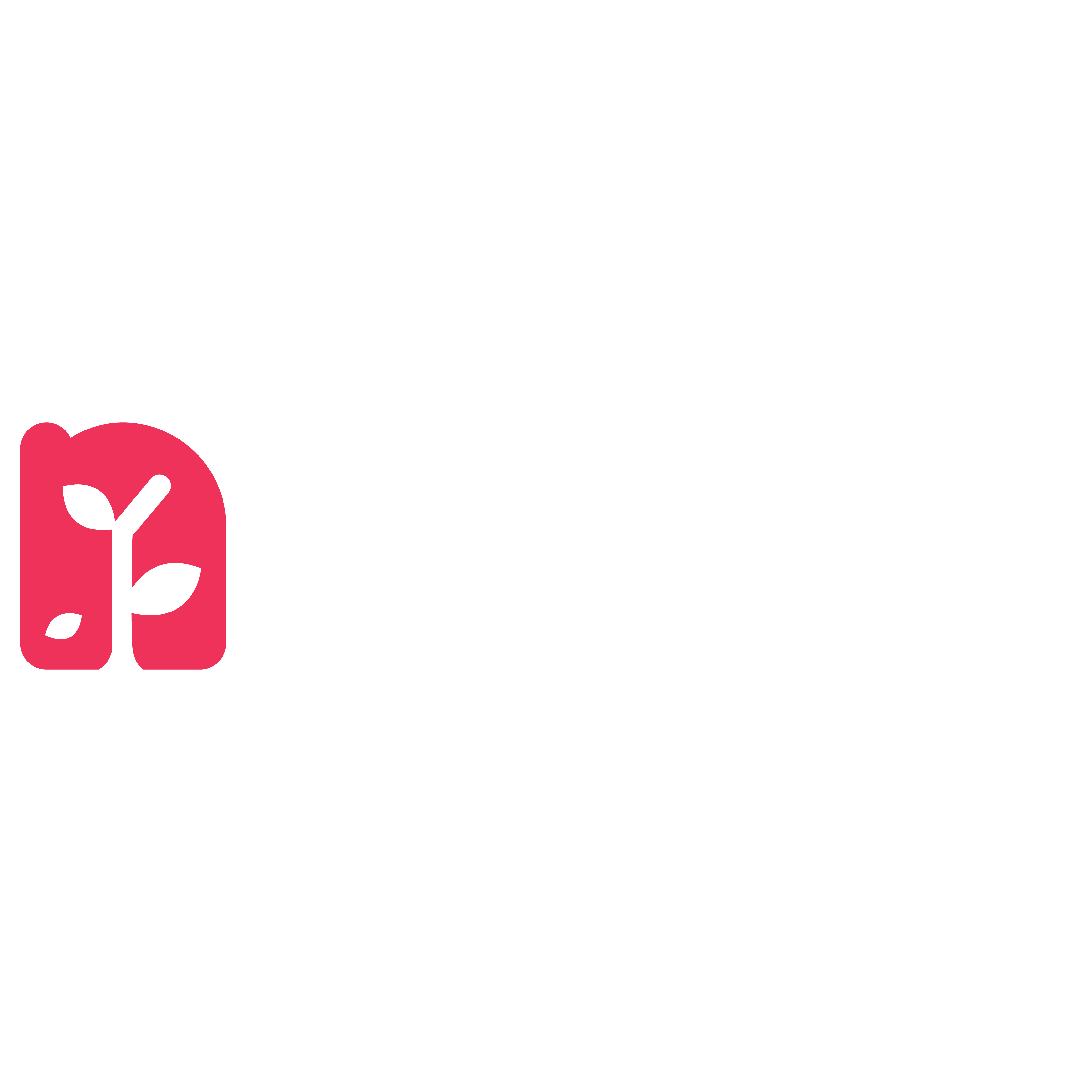 Nexa Growth logo